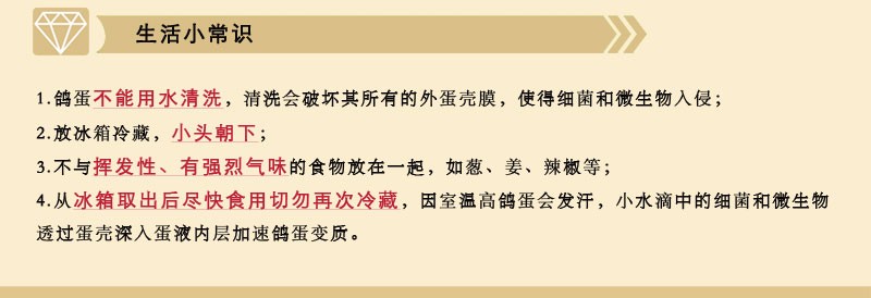 12枚裝商務版_16