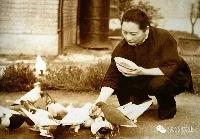 【不解情緣】周總理和宋慶齡的鴿蛋情誼